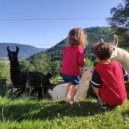 A L'Oree Du Bois Dommartin-lès-Remiremont Cameră foto