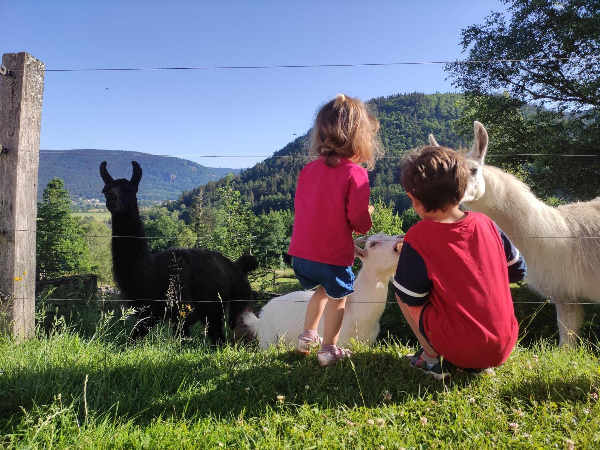 A L'Oree Du Bois Dommartin-lès-Remiremont Cameră foto