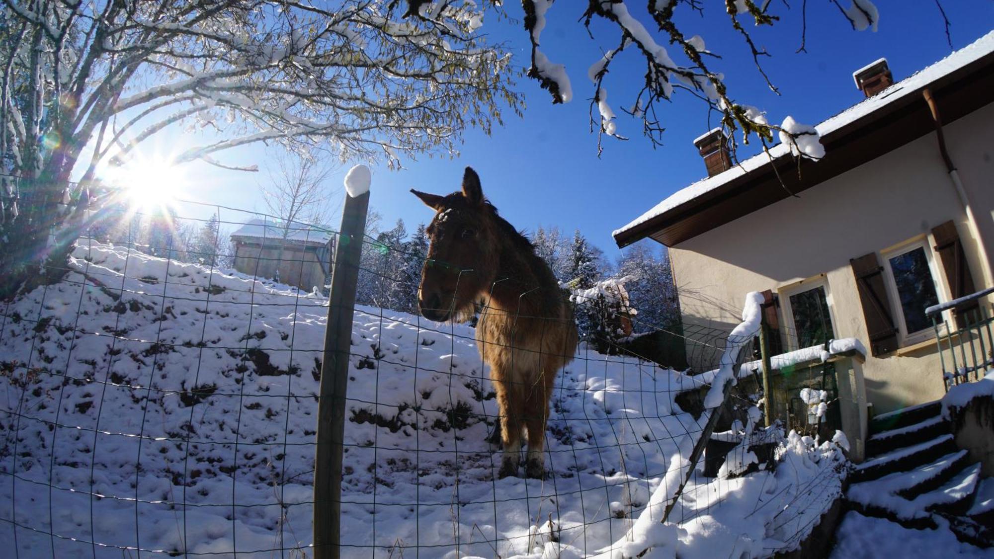 A L'Oree Du Bois Dommartin-lès-Remiremont Cameră foto