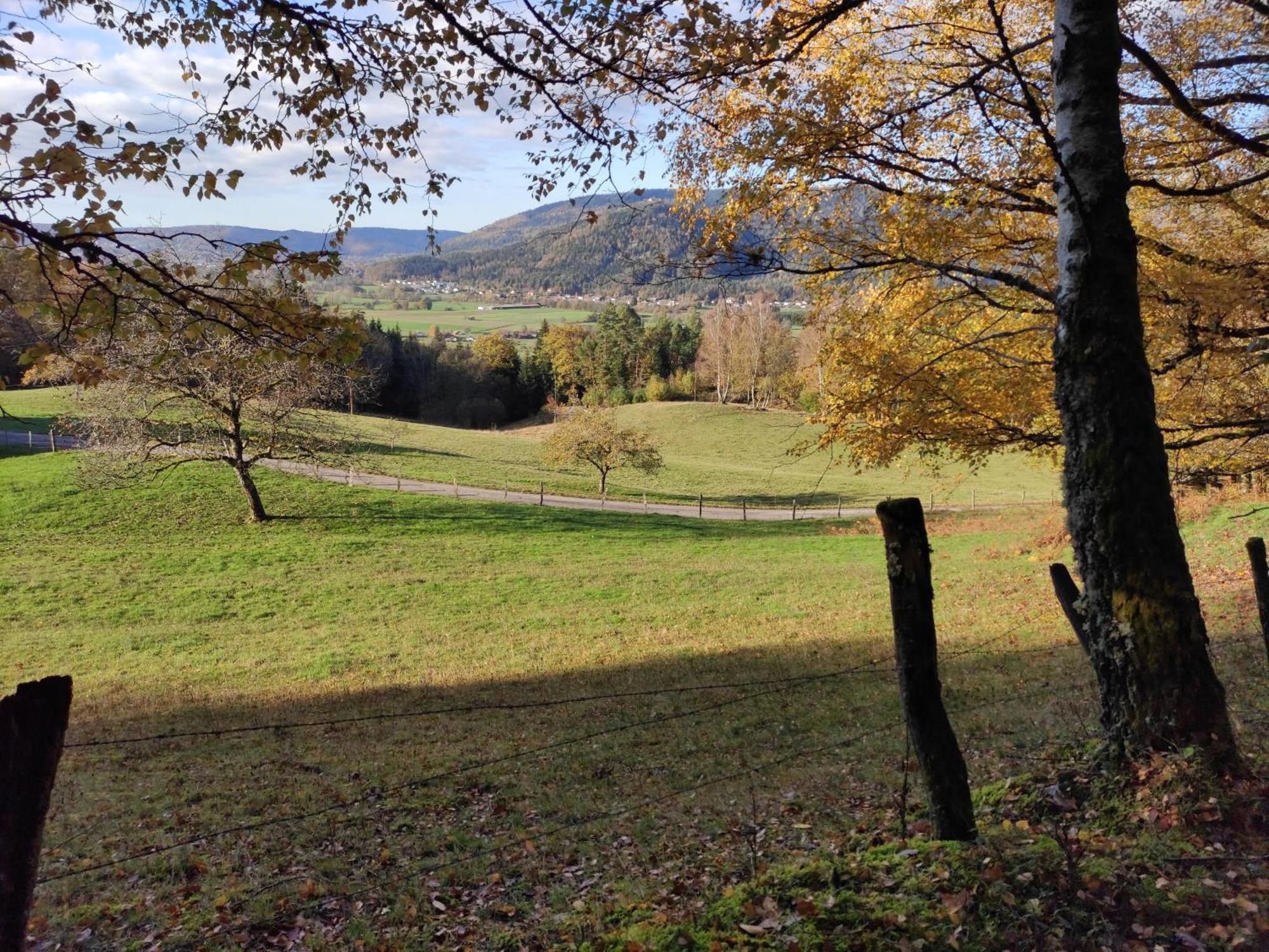 A L'Oree Du Bois Dommartin-lès-Remiremont Cameră foto