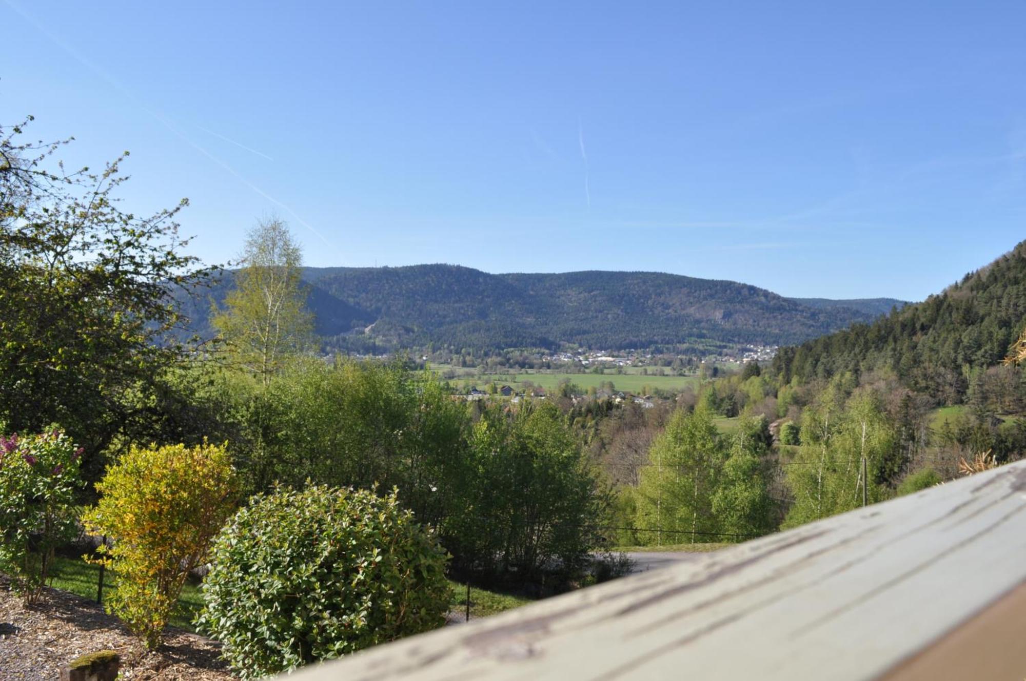 A L'Oree Du Bois Dommartin-lès-Remiremont Cameră foto