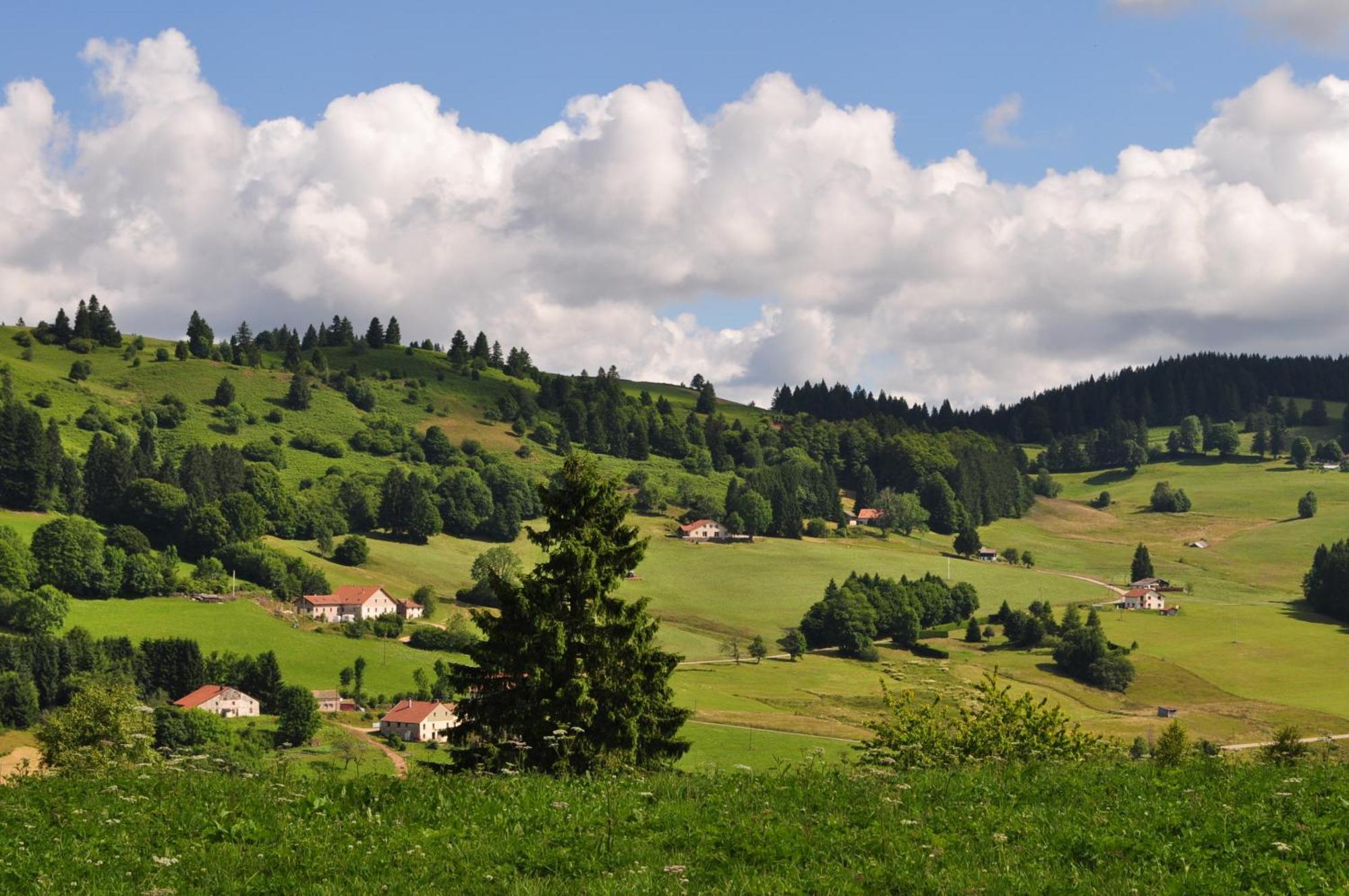 A L'Oree Du Bois Dommartin-lès-Remiremont Cameră foto